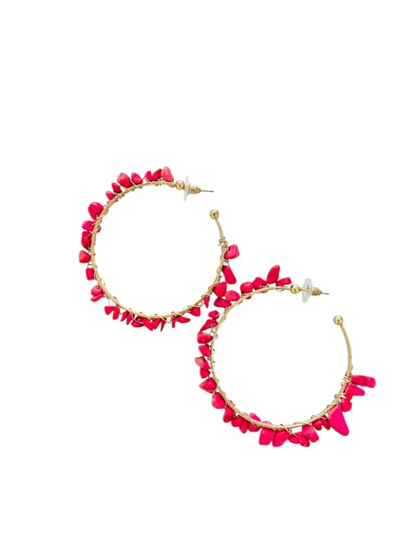 Caravanas Aros Romina 